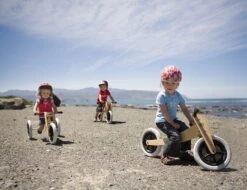 Wishbonebike 3-in-1 Loopfiets -Chique Speelgoeds Winkel loopfiets wishbone bike 4