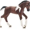 Schleich 13758 Trakehner Veulen FarmWorld 2 Schleich 13758 Trakehner Veulen FarmWorld -Chique Speelgoeds Winkel schleich 13758 trakhener veulen