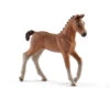 Schleich 13818 Hannover Veulen HorseClub -Chique Speelgoeds Winkel schleich 13818 hannover veulen
