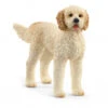 Schleich 13939 Goldendoodle Hond FarmWorld -Chique Speelgoeds Winkel schleich 13939 goldendoodle