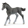 Schleich 13944 Trakhener Veulen HorseClub