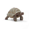 Schleich 14824 Reuzenschildpad Wildlife