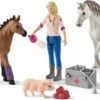 Schleich 42486 Dierenarts Met Merrie En Veulen HorseClub